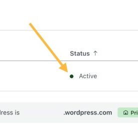 How to track third party domain requests in wordpress