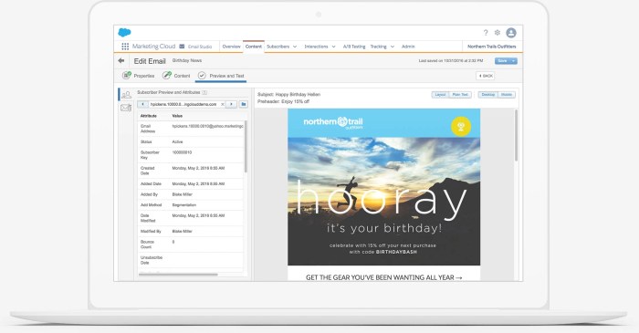 Salesforce marketing cloud engagement