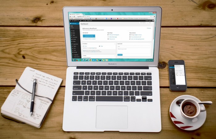 The 11 best ways to learn wordpress before and after launching your blog