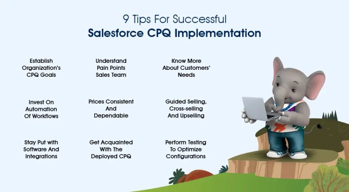Salesforce cpq implementation guide