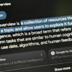 Google ai overviews 13 searches