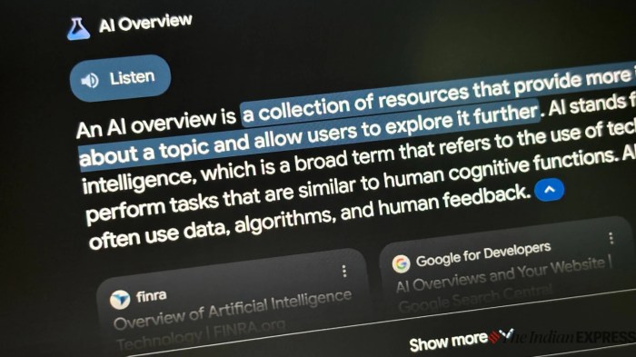 Google ai overviews 13 searches