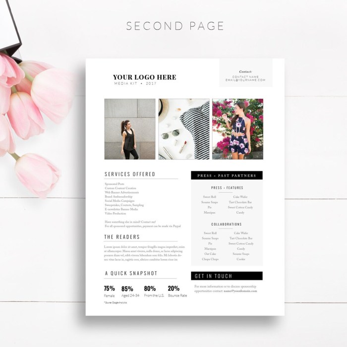 How to set up a media kit page in wordpress