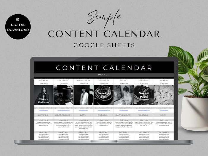 Social media content calendar