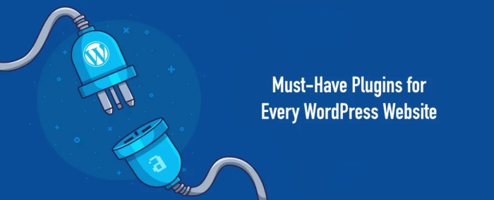 25 plugins to consider after creating your first wordpress site