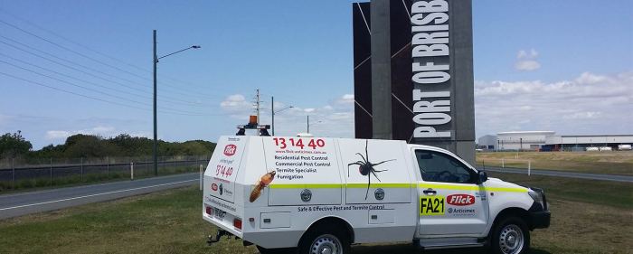 Catseye pest control Pest control reviews how to drive growth and build trust