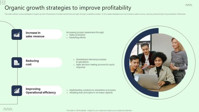 Chart your organic growth with 5 key strategies