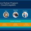 Unlock business success with a salesforce partner