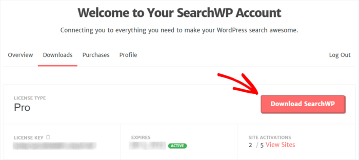How to fix woocommerce product search not working