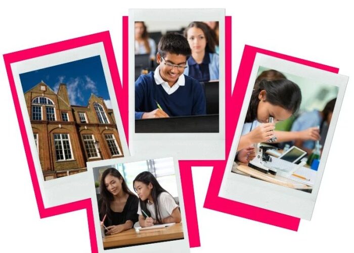 Market research for private schools