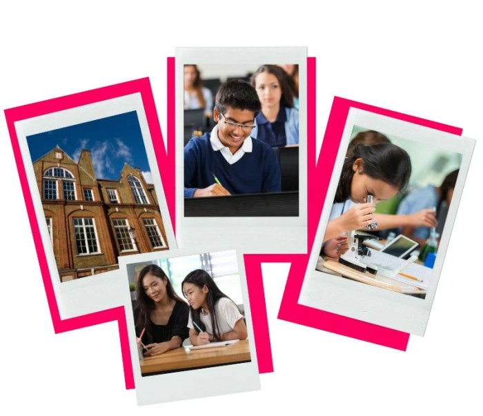 Market research for private schools