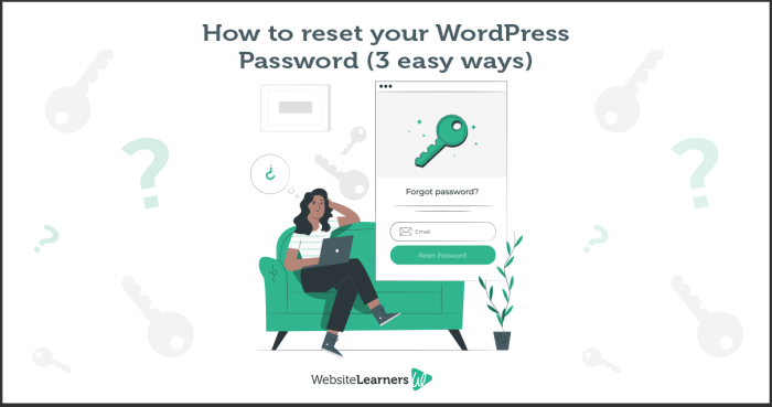 Password reset resetting Password reset resetting