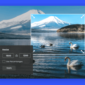 Crop images to specific sizes