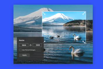 Crop images to specific sizes