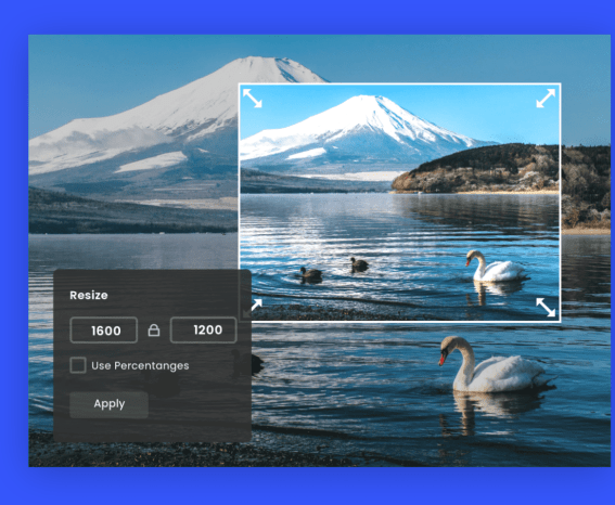 Crop images to specific sizes
