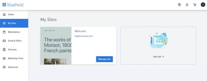 Hosting trends seo agency bluehost spa