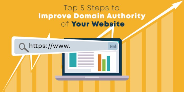 Factors that boost on page seo scores while suppressing domain authority
