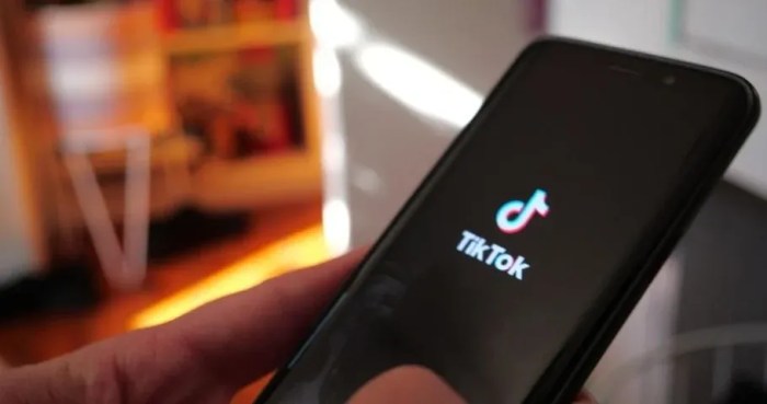 Tiktok influence The rise of tiktok