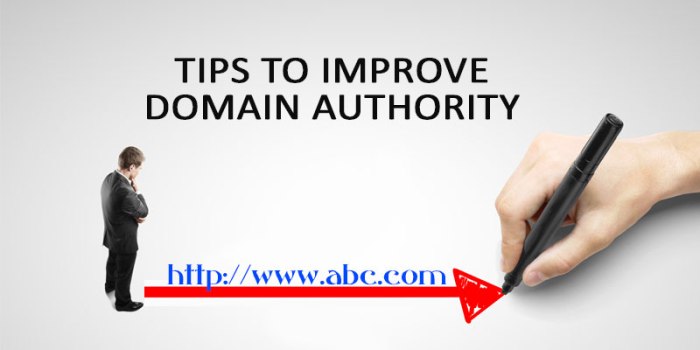 Factors that boost on page seo scores while suppressing domain authority