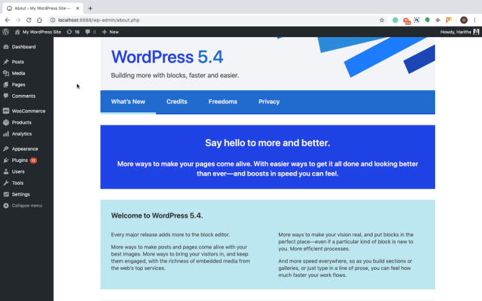 How to safely update wordpress