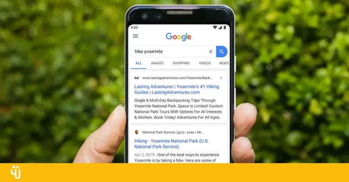This week in search google launches more results on mobile more