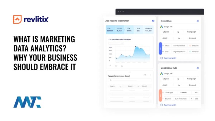 Data analytics in marketing