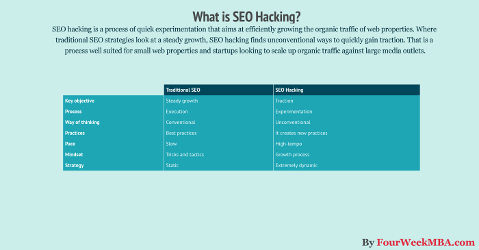 Seo is the perfect growth hacking tool