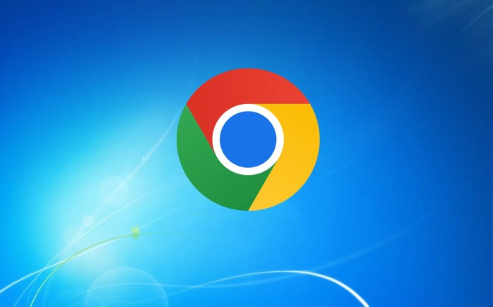 Google chrome 27 pc