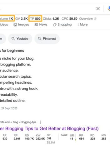 What does a good seo campaign look like