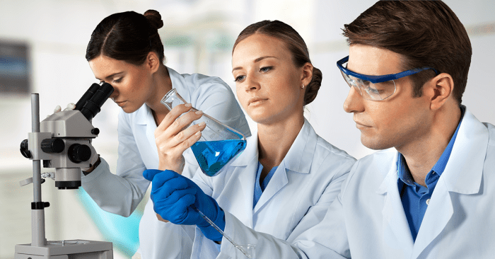 Chemistry roles Assessing your teams chemistry to increase productivity1