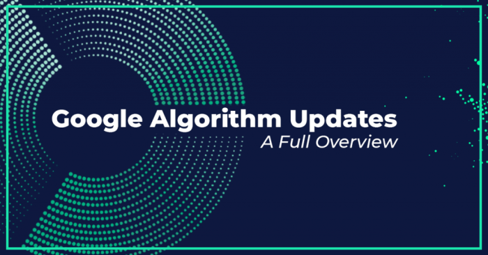What google algorithm updates can teach us