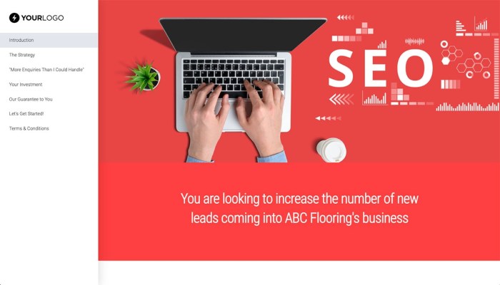 Seo proposal demonstrating the business value