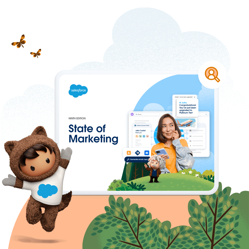 Salesforce customer data platform