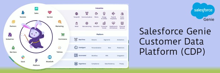 Salesforce customer data platform