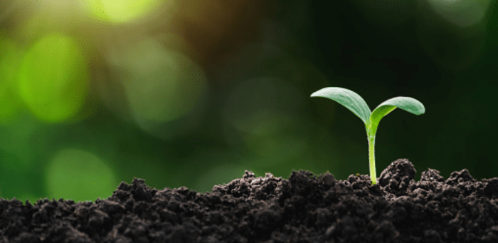 Actionable research a roadmap to a successful rebrand