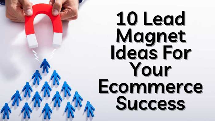 Top 9 actionable ecommerce lead magnet ideas