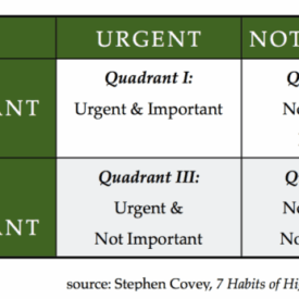 Discover the essential seo metrics to focus on