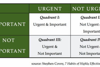 Discover the essential seo metrics to focus on