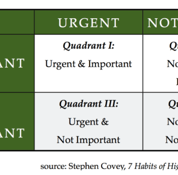 Discover the essential seo metrics to focus on