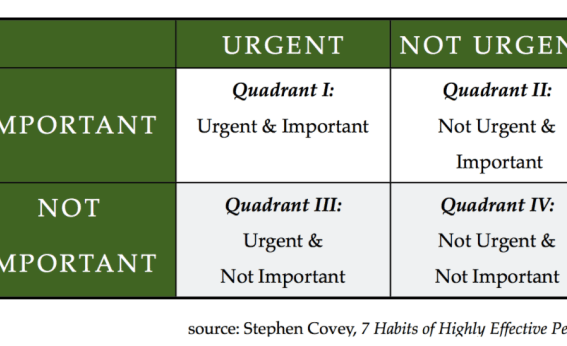 Discover the essential seo metrics to focus on