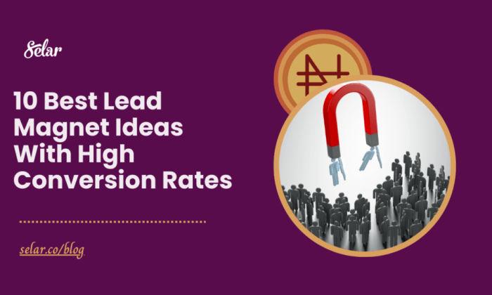 Top 9 actionable ecommerce lead magnet ideas