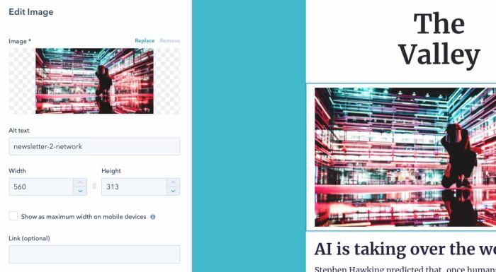 Tips to creating an affordable effective email newsletter