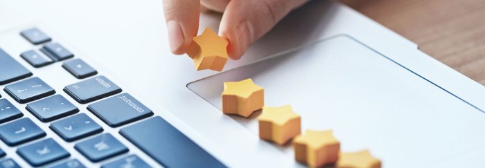 Online reputation management orm