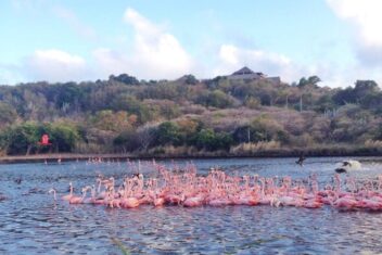 Learnings week necker island richard branson
