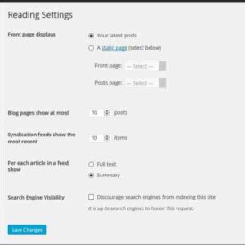 Wordpress tag tags what add wpglobalsupport interface can site how explained