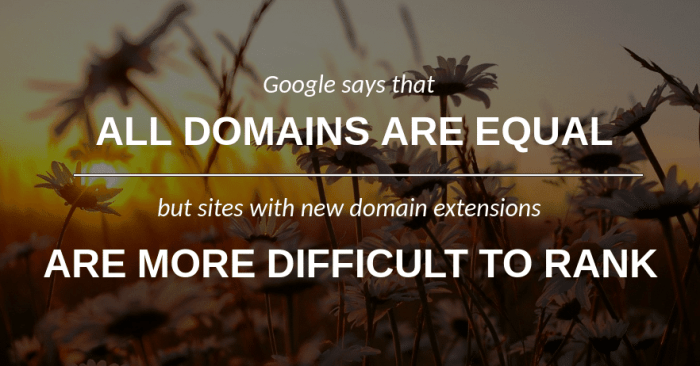 Top level domain bias is google partial towards certain domains