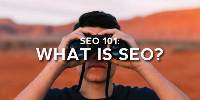 What does seo mean seo jargon buster