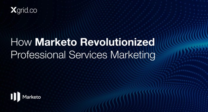 Professional services marketing the future is here