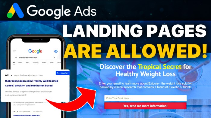 Google ads landing pages why every campaign needs one