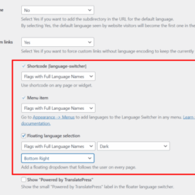 Plugin translate wordpress use how elmastudio